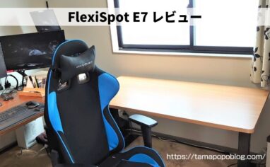 FlexiSpot-E7-review